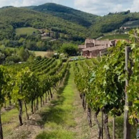 Casa Malu Near Chianti