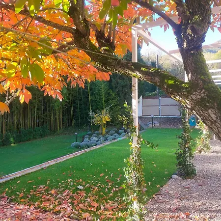Casa Malu Near Chianti Tatil Evi
